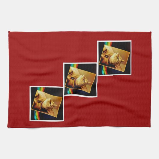 Linge De Cuisine Rainbow Indigo (Horizontal)