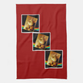 Linge De Cuisine Rainbow Indigo (Vertical)