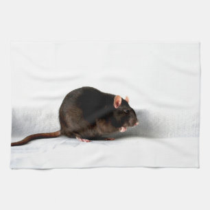 Linge De Cuisine Rat ktcna