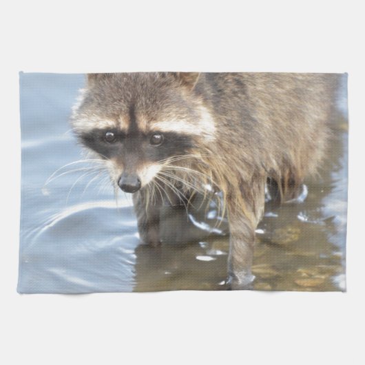 Linge De Cuisine Raton laveur (Horizontal)