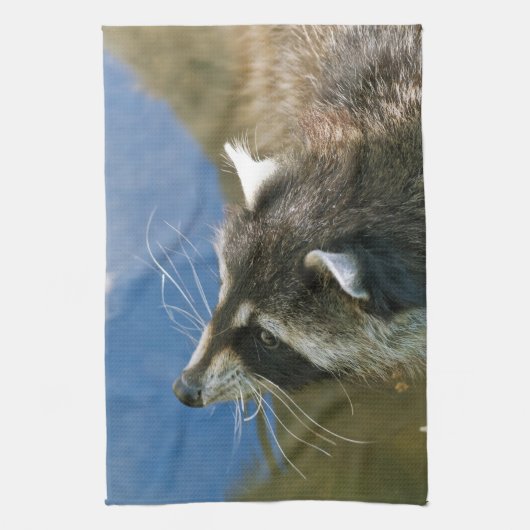 Linge De Cuisine Raton laveur (Vertical)