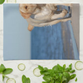 Linge De Cuisine Récupérateur de labrador jaune sur la plage (Plié)