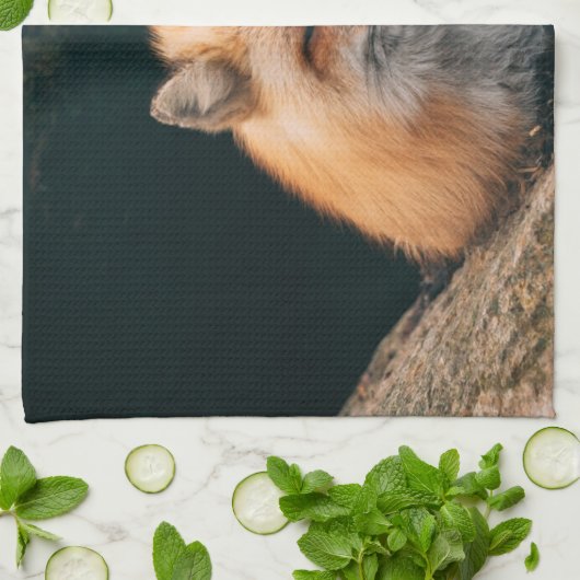 Linge De Cuisine Red Fox dormant (Plié)