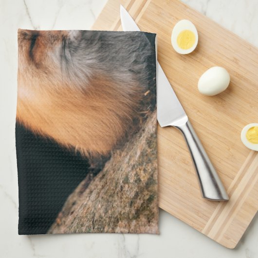 Linge De Cuisine Red Fox dormant (Quart Plié)