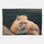 Linge De Cuisine Red Fox dormant (Horizontal)