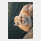 Linge De Cuisine Red Fox dormant (Vertical)