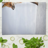 Linge De Cuisine Renard rouge en hiver (Plié)