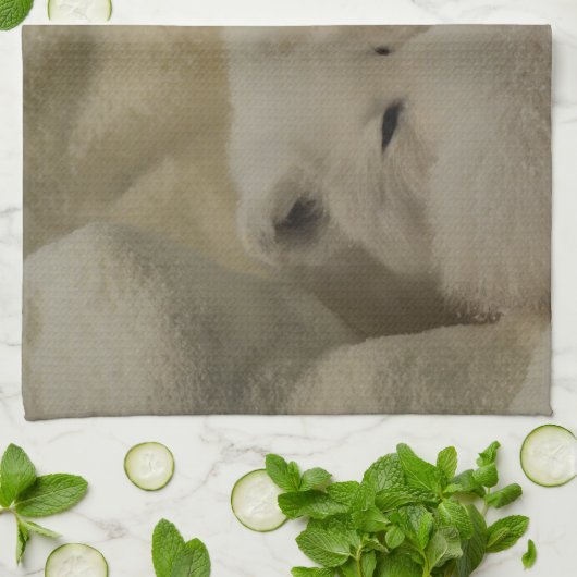 Linge De Cuisine Repaire de Fox arctique (Plié)