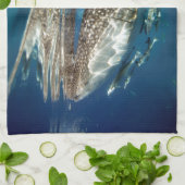 Linge De Cuisine requin baleine Oslob Philippines (Plié)