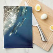 Linge De Cuisine requin baleine Oslob Philippines (Quart Plié)