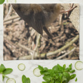 LINGE DE CUISINE ROBIN (Plié)