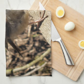 LINGE DE CUISINE ROBIN (Quart Plié)