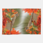 Linge De Cuisine Robin américain avec Pyracantha Pomme (Horizontal)