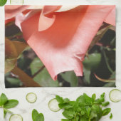 Linge De Cuisine Rose rose pêche (Plié)