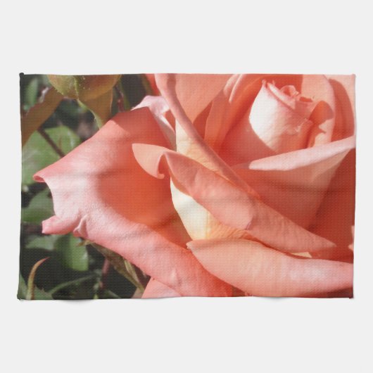 Linge De Cuisine Rose rose pêche (Horizontal)