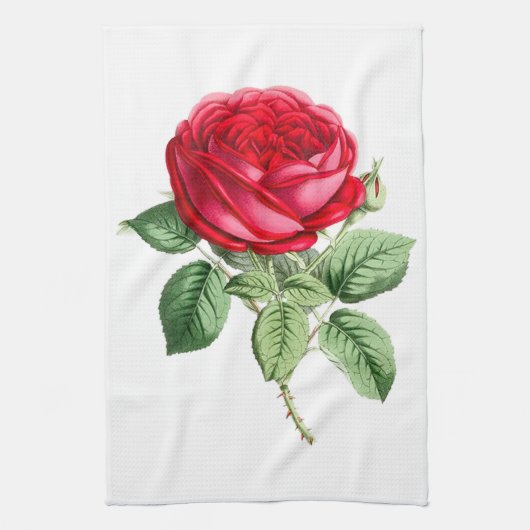 Linge De Cuisine Rose rouge antique simple (Vertical)