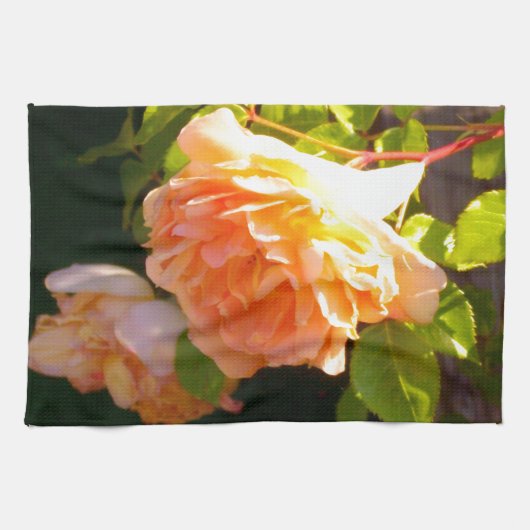 Linge De Cuisine Roses de pays pêche (Horizontal)