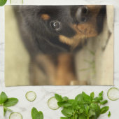 Linge De Cuisine Rottweiler20150901 (Plié)