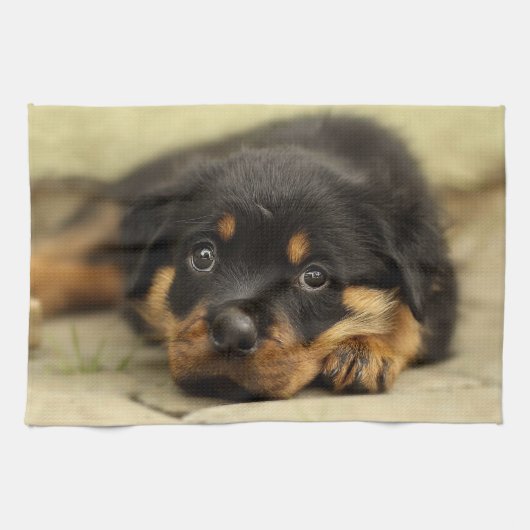 Linge De Cuisine Rottweiler20150901 (Horizontal)