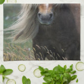 Linge De Cuisine Royaume-Uni, Ecosse, Shetland Islands, Shetland po (Plié)