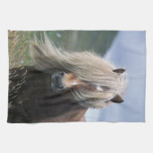 Linge De Cuisine Royaume-Uni, Ecosse, Shetland Islands, Shetland po (Horizontal)