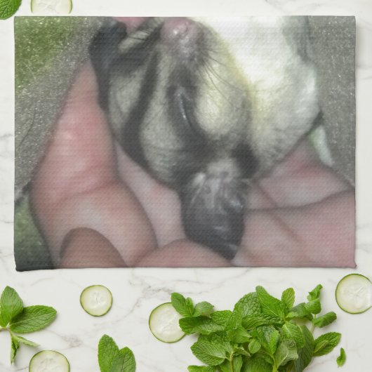 Linge De Cuisine Saigneuse à sucre dormant dans la couverture (Plié)