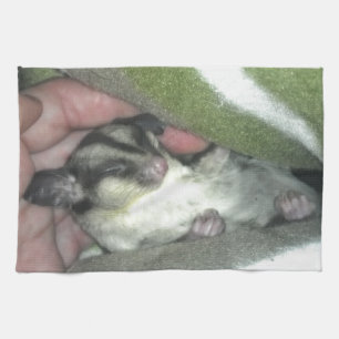 Linge De Cuisine Saigneuse à sucre dormant dans la couverture