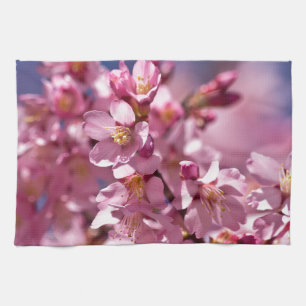 Linge De Cuisine Sakura Cherry Blossoms embrassés par Sunlight