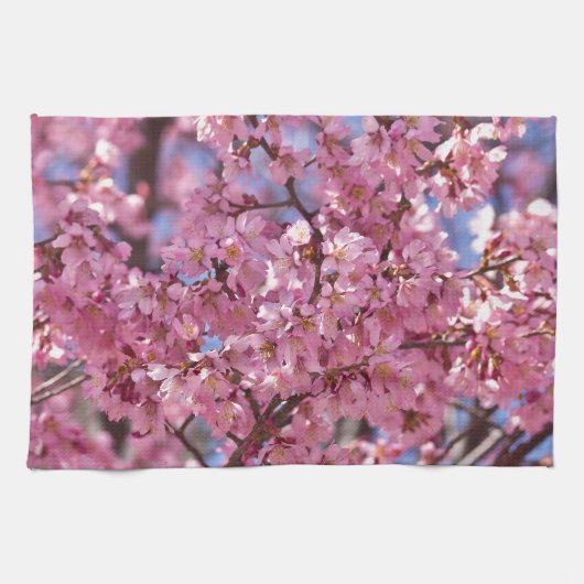 Linge De Cuisine Sakura Pink Cherry Blossom Sky (Horizontal)