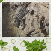 Linge De Cuisine Sceloporus cyanogenys (Plié)