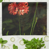 Linge De Cuisine Schizopetalus de ketmie - lanterne japonaise (Plié)