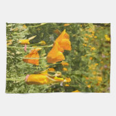 Linge De Cuisine Séchez l'effet de brosse sur la photographie de (Horizontal)