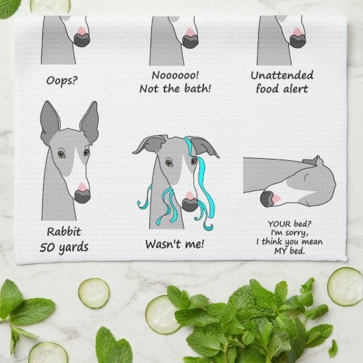 Linge De Cuisine Sémaphore de whippet (Plié)