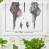 Linge De Cuisine Sept Coquillages Colorés (Plié)