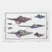 Linge De Cuisine Sept Coquillages Colorés (Horizontal)