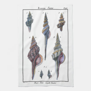 Linge De Cuisine Sept Coquillages Colorés