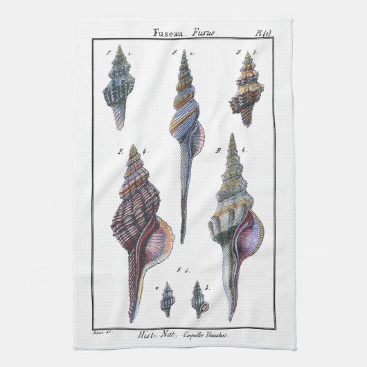 Linge De Cuisine Sept Coquillages Colorés (Vertical)