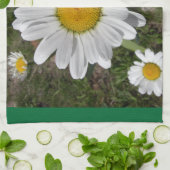Linge De Cuisine Shasta Daisy (Chrysanthemum maximum) (Plié)