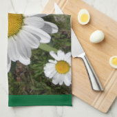 Linge De Cuisine Shasta Daisy (Chrysanthemum maximum) (Quart Plié)