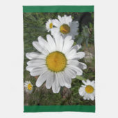Linge De Cuisine Shasta Daisy (Chrysanthemum maximum) (Vertical)