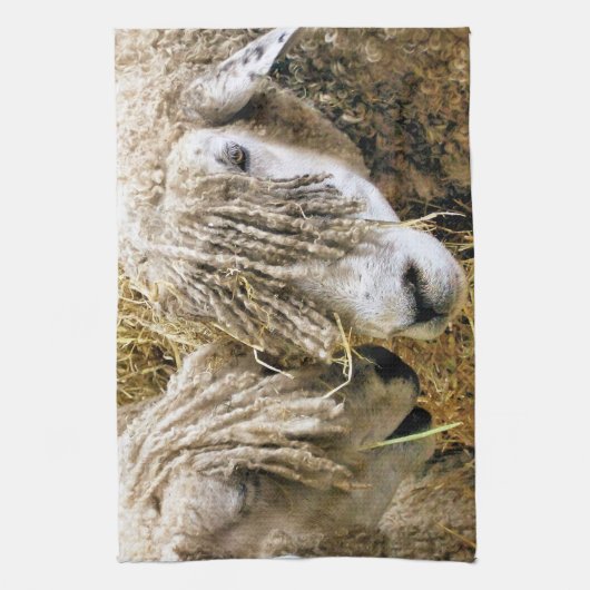 LINGE DE CUISINE SHEEP (Vertical)