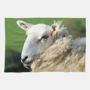LINGE DE CUISINE SHEEP