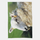 LINGE DE CUISINE SHEEP (Vertical)