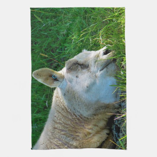 LINGE DE CUISINE SHEEP (Vertical)