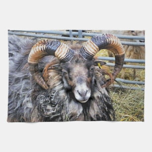 LINGE DE CUISINE SHEEP