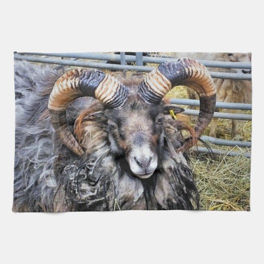 LINGE DE CUISINE SHEEP (Horizontal)