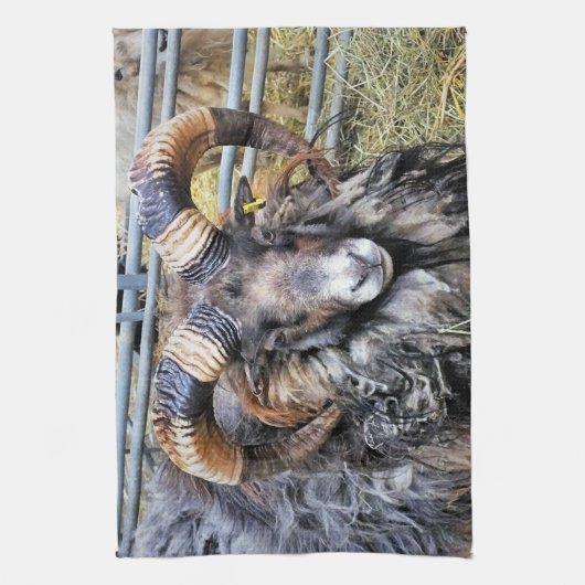 LINGE DE CUISINE SHEEP (Vertical)