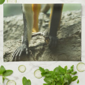 Linge De Cuisine Singe (Plié)