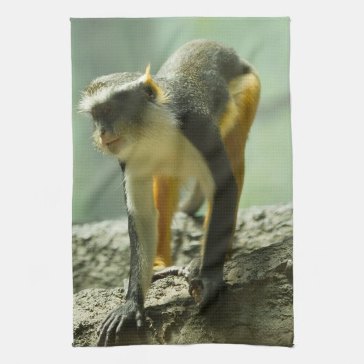 Linge De Cuisine Singe (Vertical)