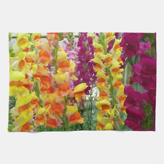 Linge De Cuisine Snapdragons colorés floraux (Horizontal)